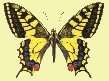 1 - entomologicalclub.org